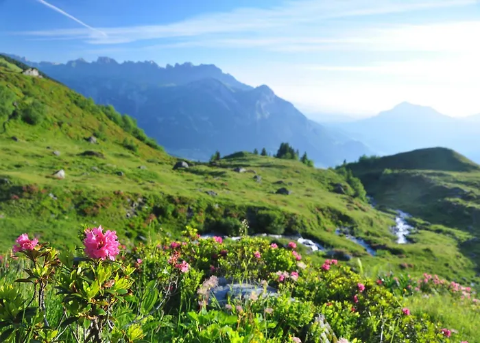 Appartement Haus Edelweiss Pizol